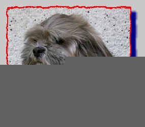 brady3.jpg (60670 bytes)
