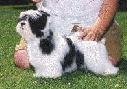 moo.jpg (4181 bytes)