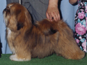 panache1.jpg (19233 bytes)