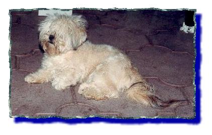 raisin1.jpg (22449 bytes)