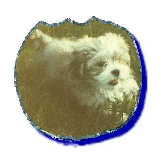 rubs.jpg (14090 bytes)