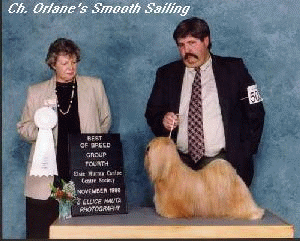 sam1.gif (51747 bytes)