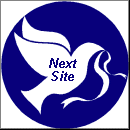 Go to next site