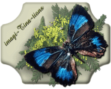 AMARYLLIS LOGO