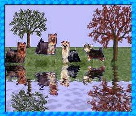 Animated Starwood Lake