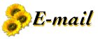 E-mail"