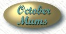October Mums
