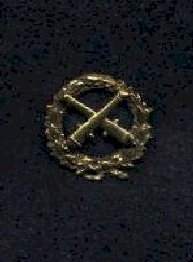 badge.jpg (12217 bytes)