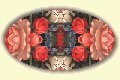 set06b