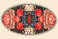 set07b
