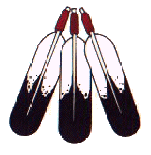 picture of a feather