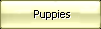 Puppy Information