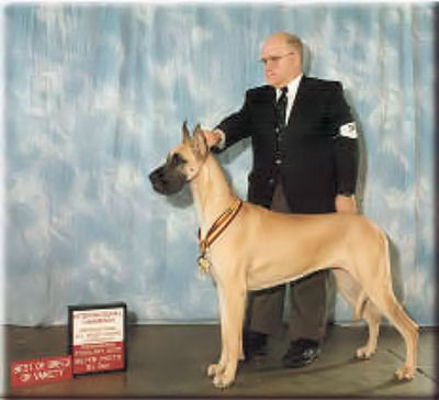 Marilyn International Champion Owner Handled