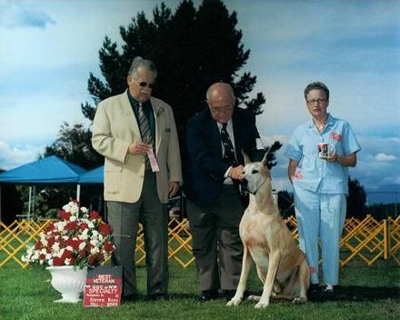 Herbie Wins Best Veteran ~ Age 9