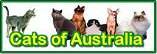 Cats of Australia