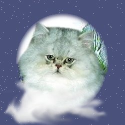 Heaven Trax O Glory