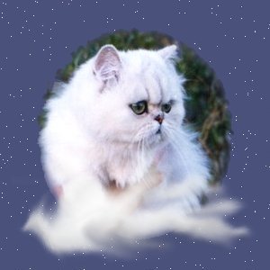 Heaven Update