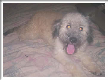 Max