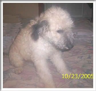Max
