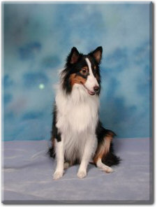 Seth -at 1 year