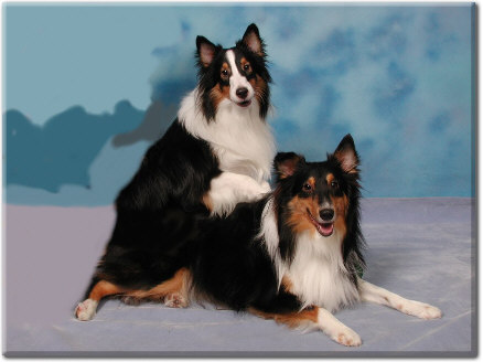 Seth and his buddy Shadow