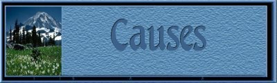 Our Causes Banner