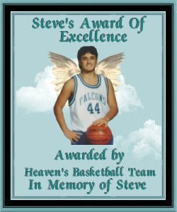 Steve's Award of Excellence