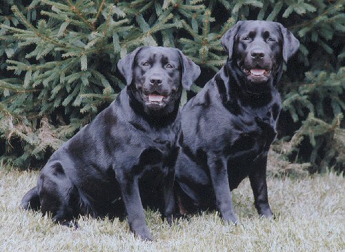 Edy and Nora, photo by Michael Hrymack