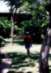 Grounds