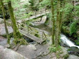 Ehrbachklamm