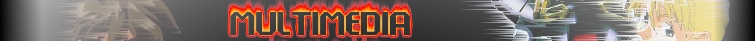 GW MULTIMEDIA