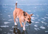 Kept her busy for half a mile.