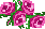 Image of 4roses.gif