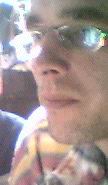 Image of robin.jpg