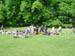 1DSC00027