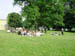 3DSC00015