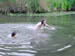 DSC00002