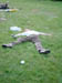 DSC00028