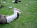 DSC00029