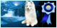 Hekentesh Samoyeds & Fox Terriers (Smooth)