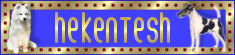Hekentesh Samoyeds & Fox Terriers Australia