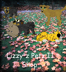 Lizzy's Petz II Shop