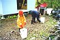 Gathering material for compost toilet covering.