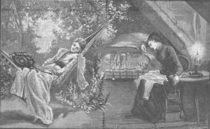 An illustration for SUN AND SHADE