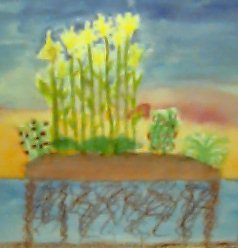 [Floating Gardens]