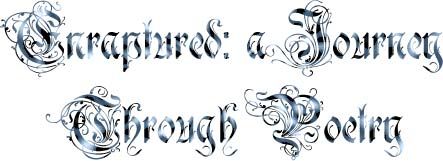 Enraptured: Journey's through Poetry