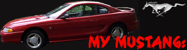 All about my mustang: