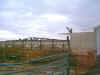 farm1.JPG (79368 bytes)