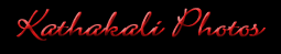 albumopt2.gif (3638 bytes)