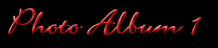 photo1.gif (3097 bytes)